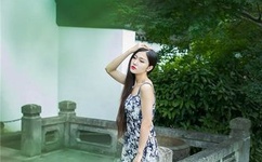 妻为上动漫全集在线观看